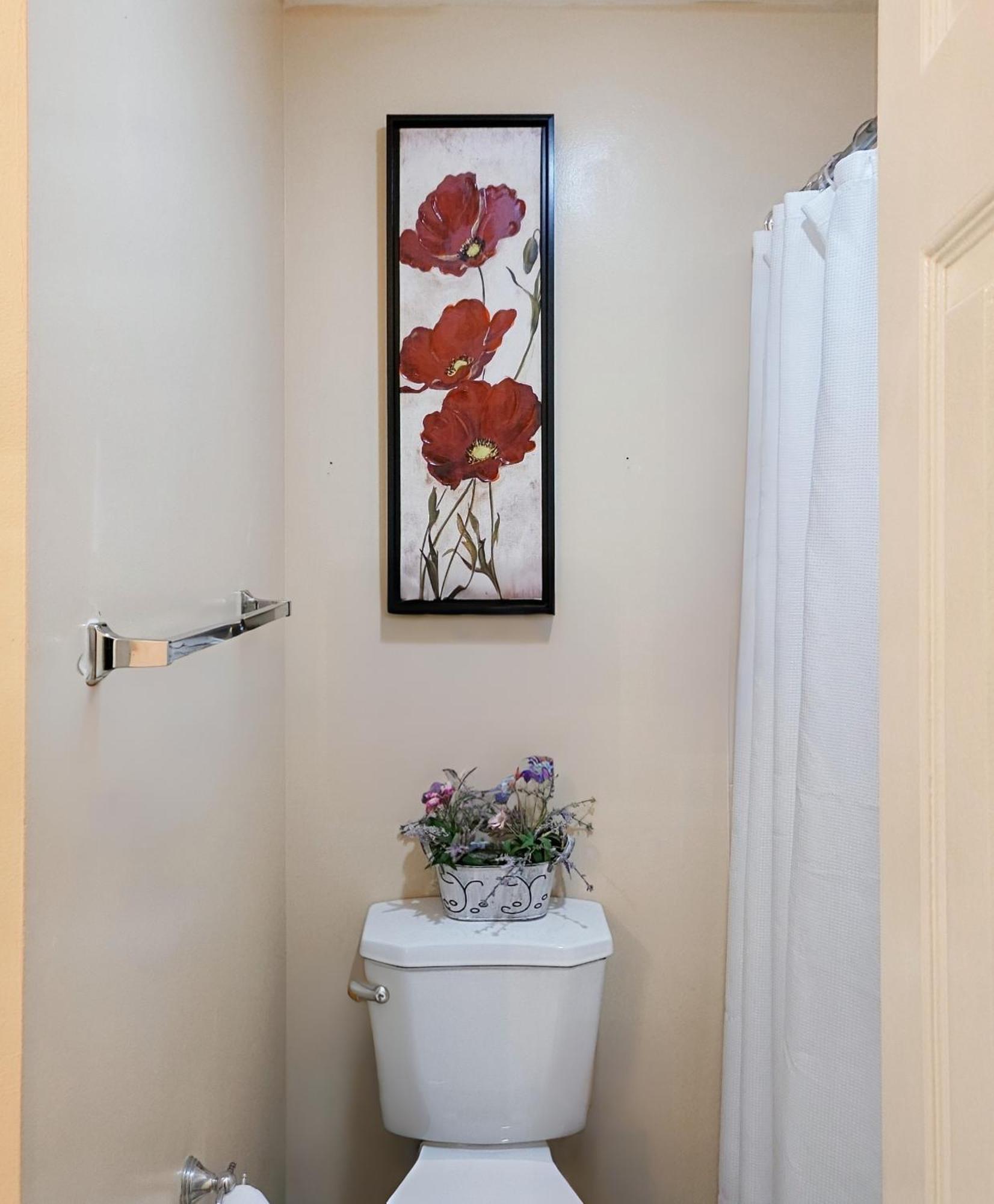 Modern Comfort Stays Alexandria Zewnętrze zdjęcie