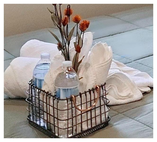 Modern Comfort Stays Alexandria Zewnętrze zdjęcie